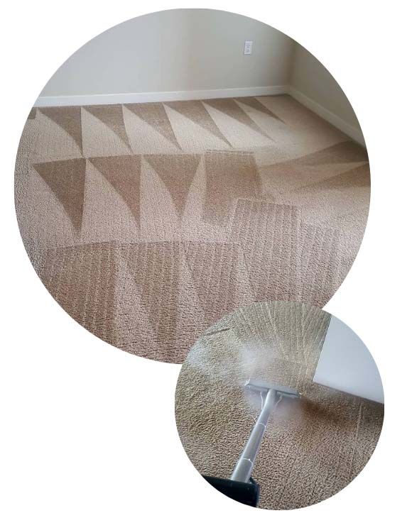 Carpet Cleaning Process Coral Springs Fl