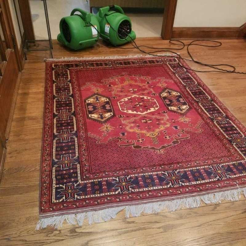 Rug Cleaning Coral Springs Fl